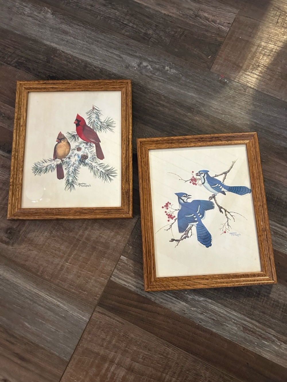 Vintage Portfolio of Song Art Birds prints by Sherm Pehrson 1978 All Wood Frames